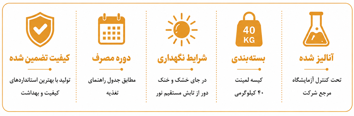 Info Analysis orange
